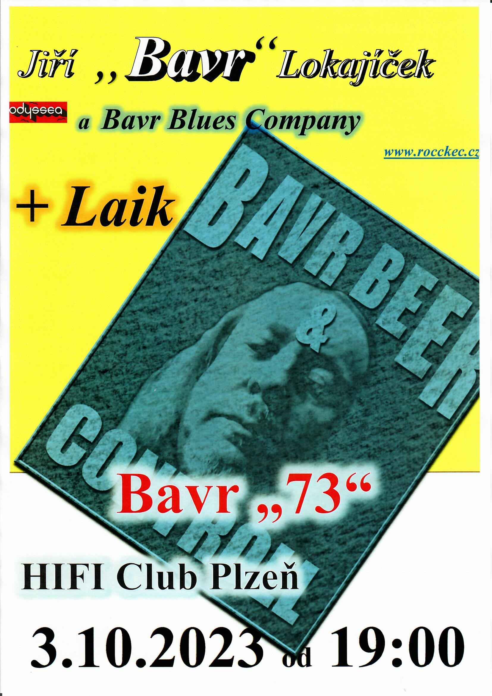 bavr-73.jpg